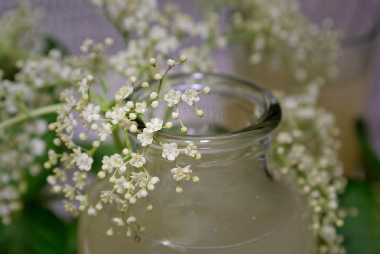 Symbolbild Sanfte Medizin